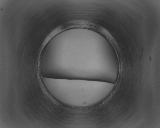 X0000087511378200704270743