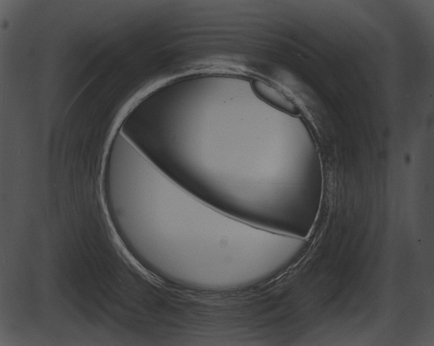 X0000087511379200704270743