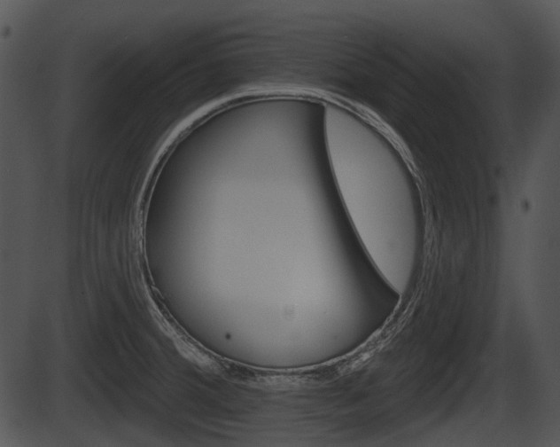 X0000087511380200704270743