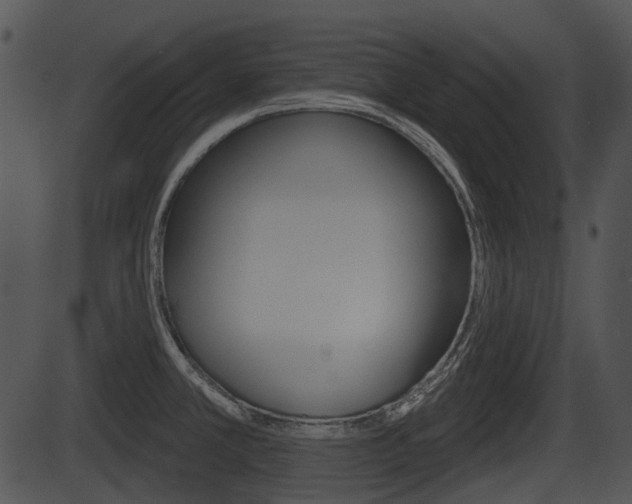 X0000087511381200704270743