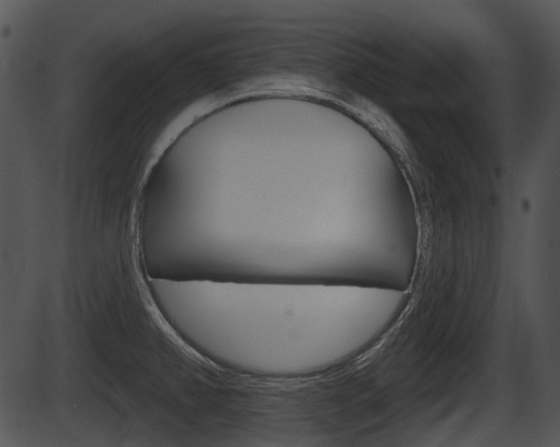 X0000087511382200704270743