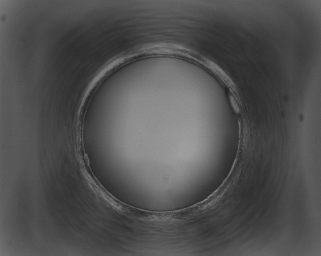 X0000087511384200704270743