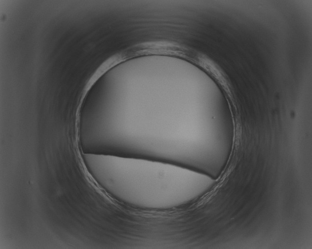 X0000087511386200704270743