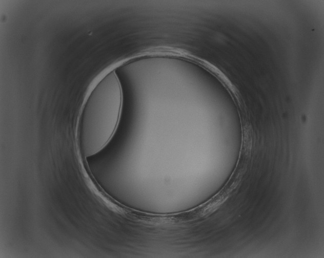 X0000087511387200704270743