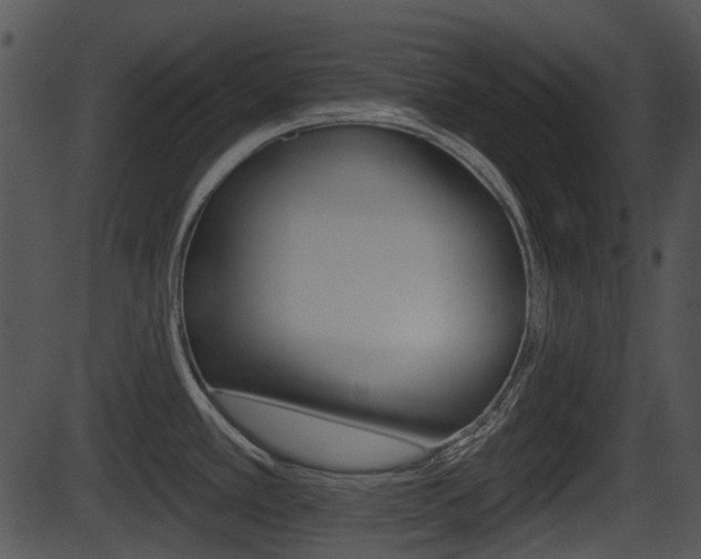 X0000087511389200704270743