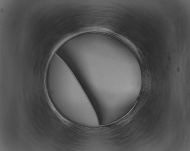 X0000087511391200704270743