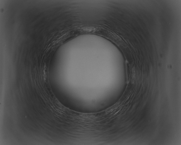 X0000087511394200704270742