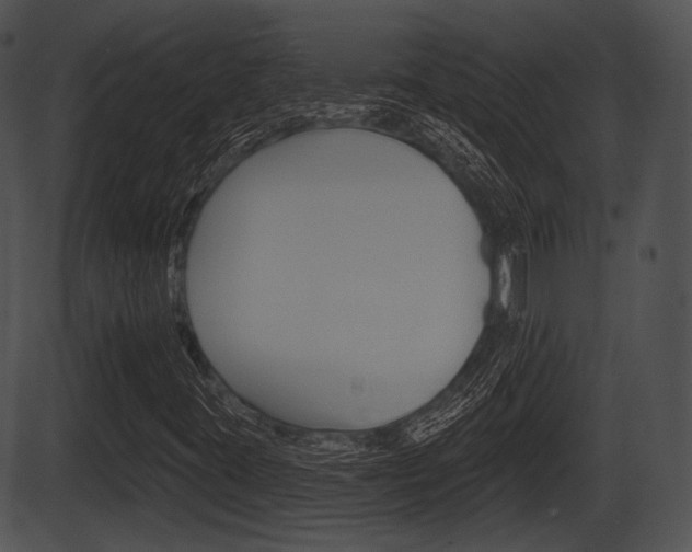 X0000087511395200704270742