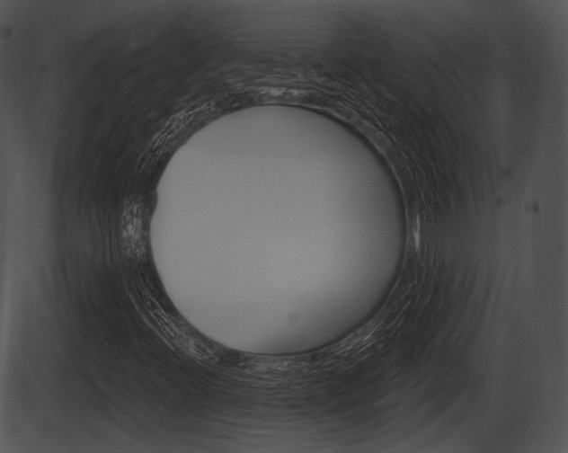 X0000087511396200704270742