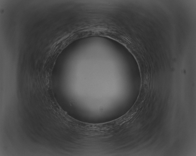 X0000087511398200704270742