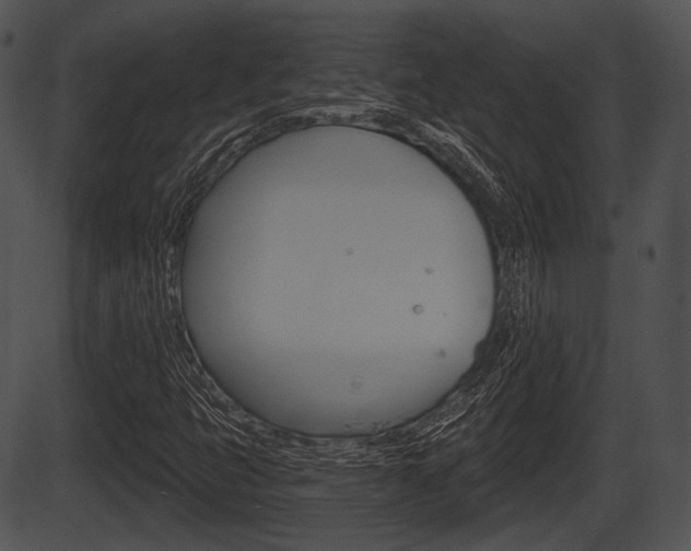 X0000087511399200704270742