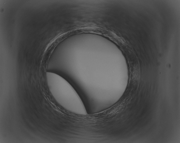 X0000087511400200704270742