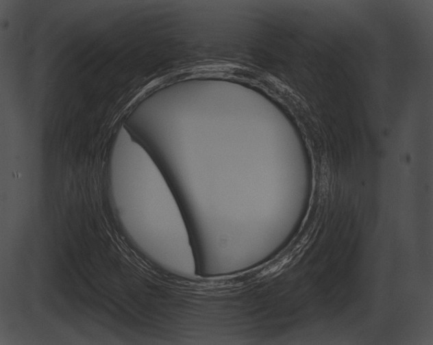 X0000087511401200704270742