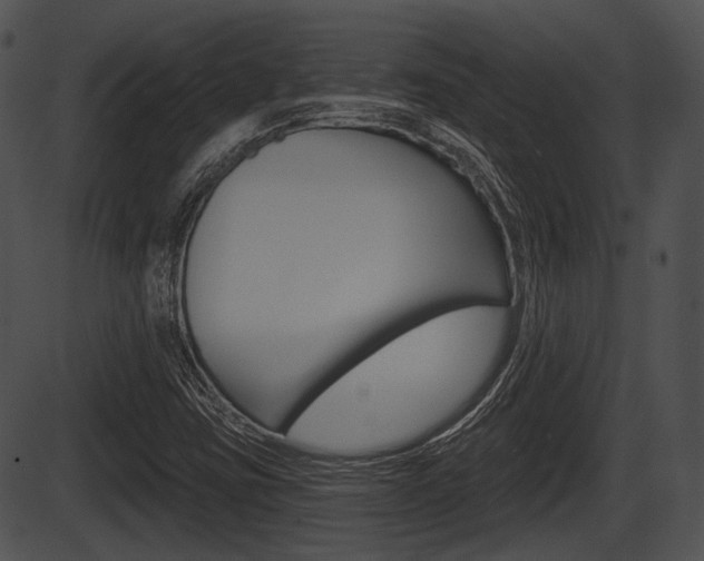 X0000087511403200704270742