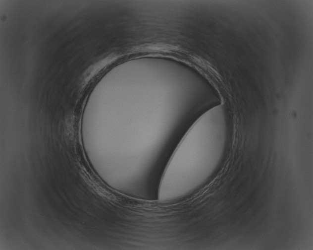 X0000087511404200704270742
