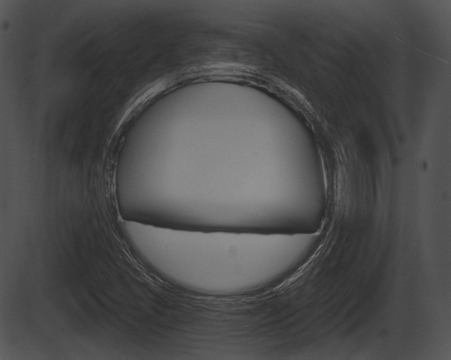 X0000087511405200704270742