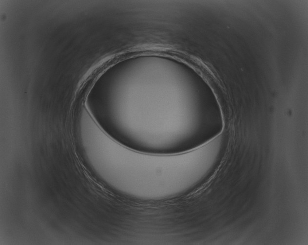 X0000087511406200704270742