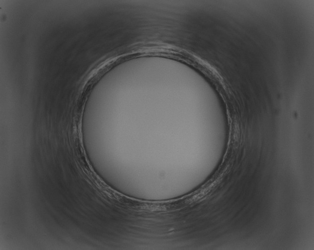 X0000087511407200704270742