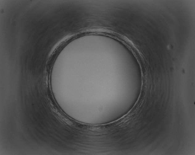 X0000087511408200704270742