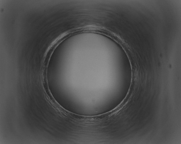 X0000087511410200704270742