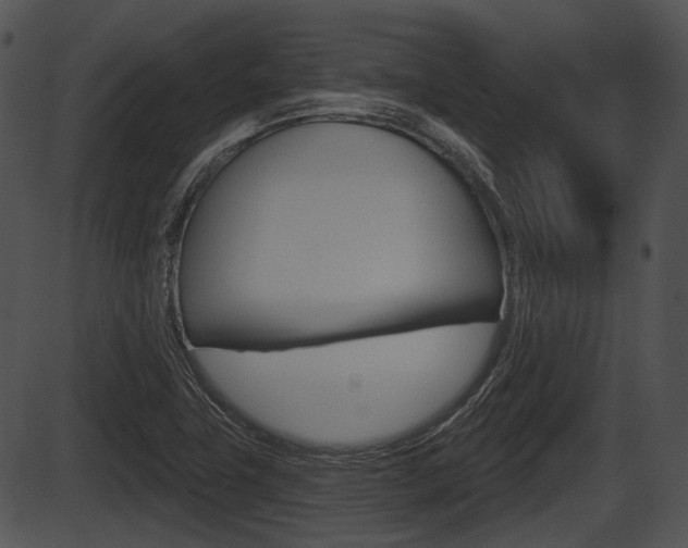 X0000087511411200704270742