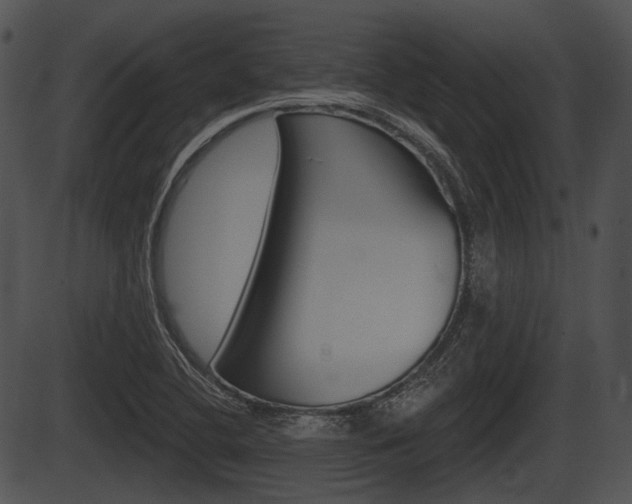 X0000087511412200704270742