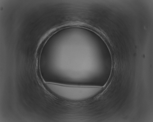 X0000087511414200704270742