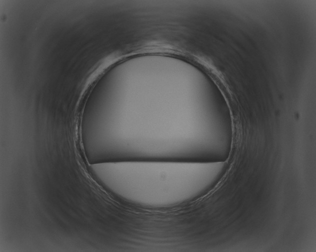 X0000087511415200704270742