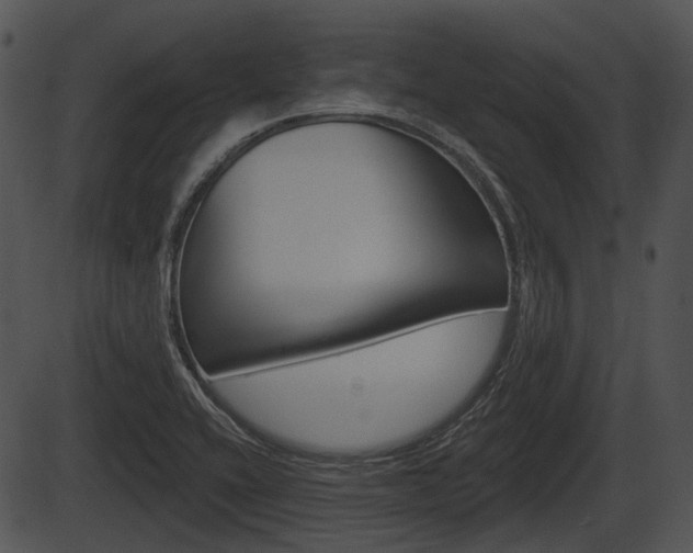 X0000087511416200704270742