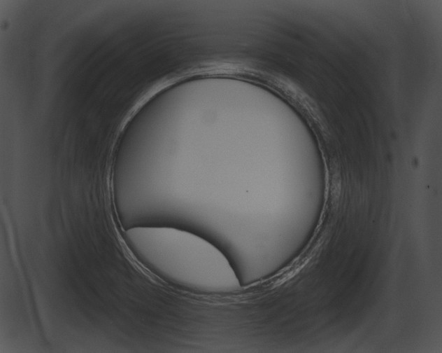 X0000087511417200704270742