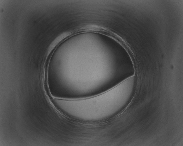 X0000087511418200704270742