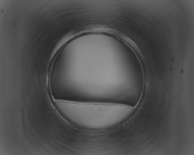 X0000087511420200704270742