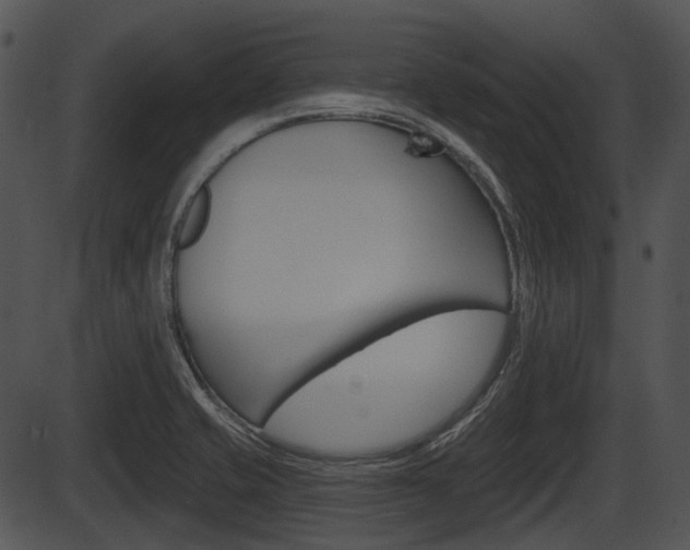 X0000087511421200704270742