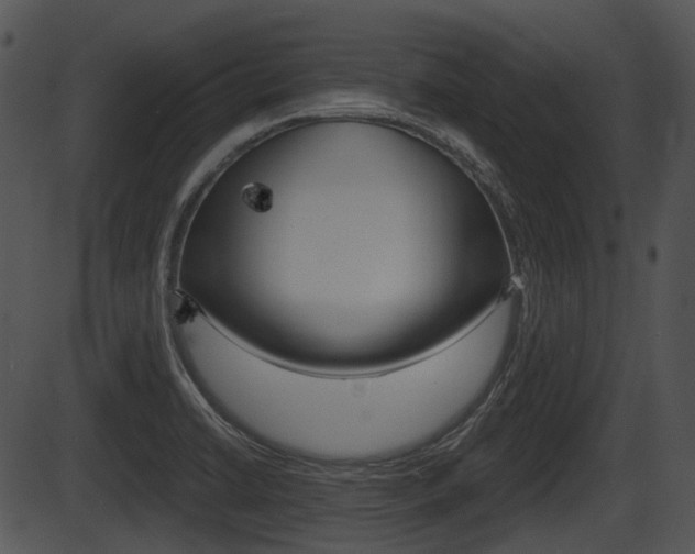 X0000087511422200704270742