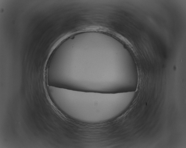 X0000087511423200704270742