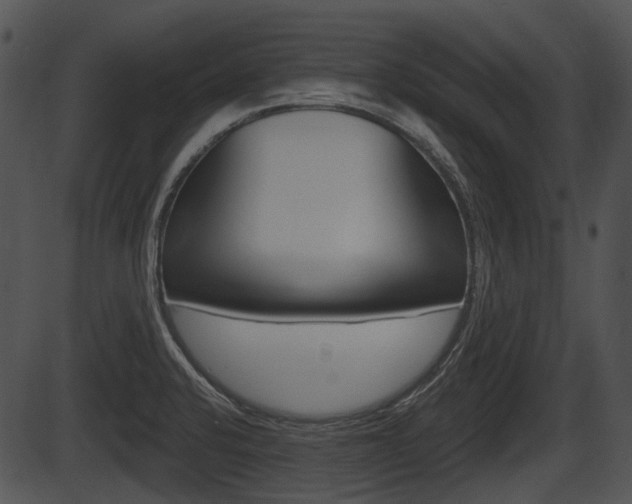 X0000087511424200704270742