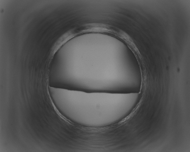 X0000087511425200704270742