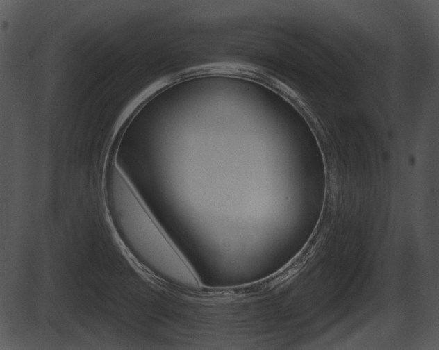 X0000087511426200704270742