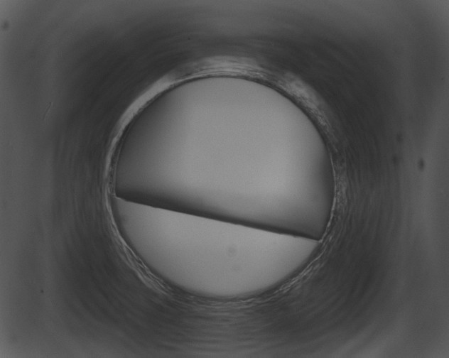 X0000087511427200704270742