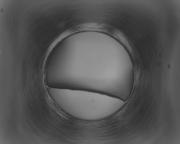 X0000087511435200704270742