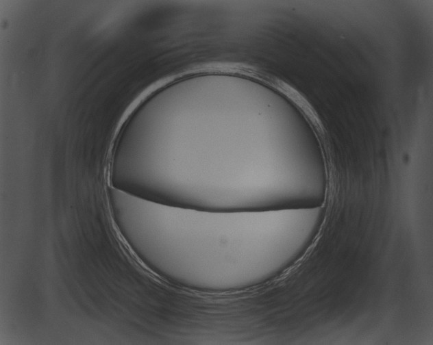 X0000087511436200704270742