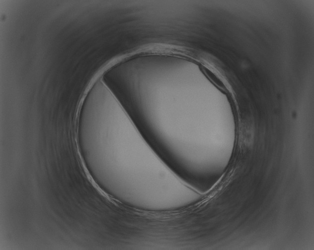 X0000087511437200704270743