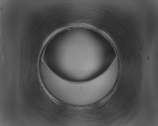 X0000087511438200704270743
