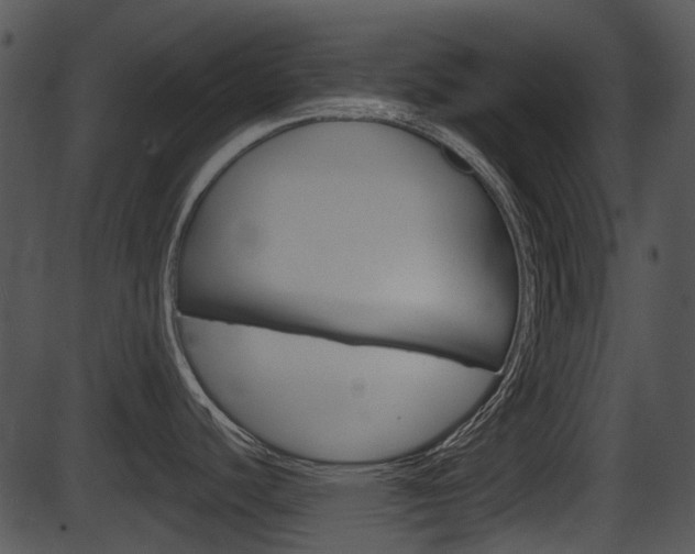 X0000087511440200704270743
