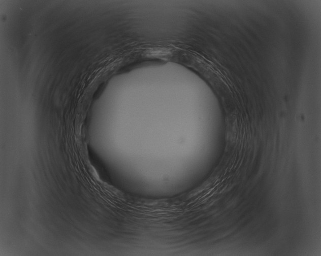 X0000087511441200704270742
