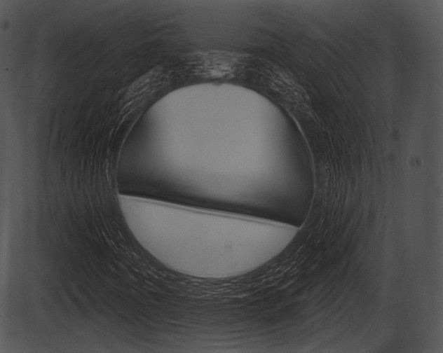 X0000087511442200704270742