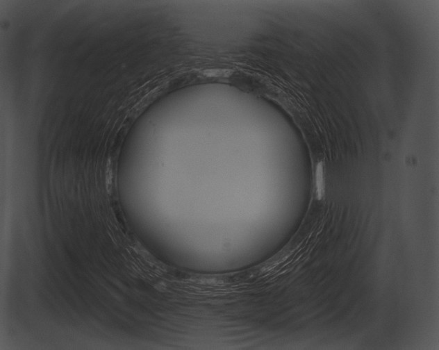 X0000087511443200704270742