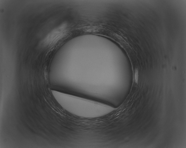 X0000087511444200704270742