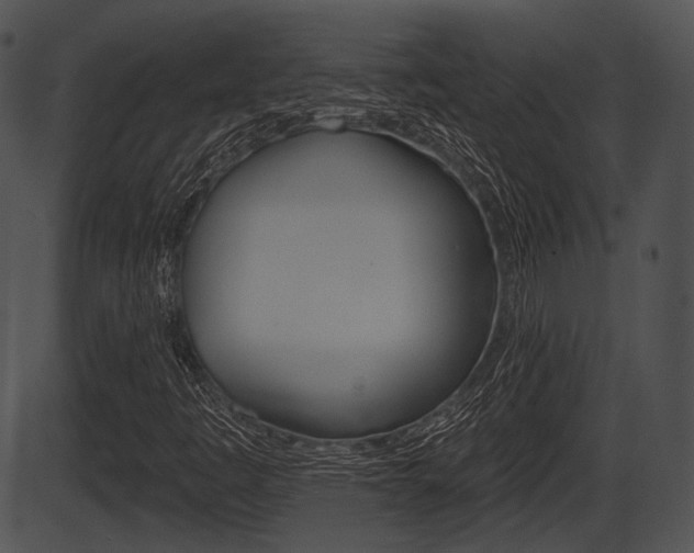 X0000087511445200704270742
