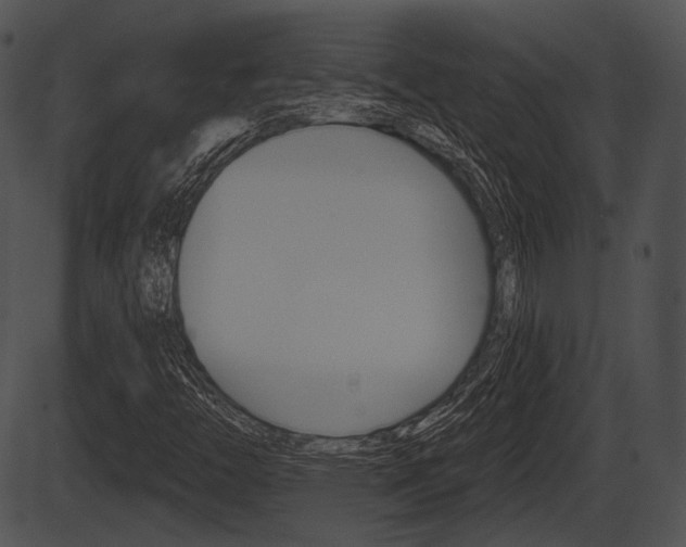 X0000087511446200704270742